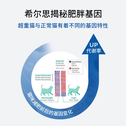 希尔思低脂猫粮 爱猫咪的轻松减重、健康美体之选——毛豆的体重管理与理想体重指南
